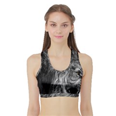 Angry Male Lion Wild Animal Sports Bra With Border by Loisa77