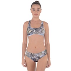 Fossilized Seashell Texture Print Design Bk Criss Cross Bikini Set by dflcprintsclothing