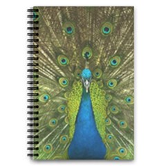 Peacock Feathers Bird Plumage 5 5  X 8 5  Notebook by Perong