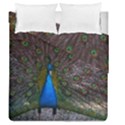 Bird Peacock Feathers Duvet Cover Double Side (Queen Size) View2