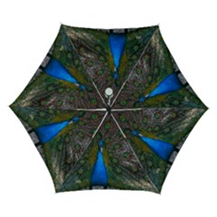 Bird Peacock Feathers Automatic Folding Umbrella With Case (small) by Perong