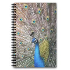 Peacock Bird Animal Peafowl 5 5  X 8 5  Notebook by Perong