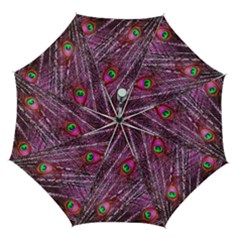 Peacock Feathers Coloured Plumage Pink Red Automatic Folding Umbrella With Case (medium) by Perong