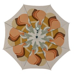 Vases Art Plant Boho Bohemian Automatic Folding Umbrella With Case (medium) by Perong