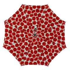 Flower Poppies Plant Petal Automatic Folding Umbrella With Case (medium) by Perong