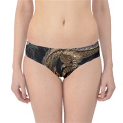 Japanese Dragon Pentagram Hipster Bikini Bottoms by Perong