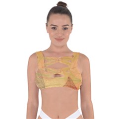 Leaves Patterns Colorful Leaf Pattern Bandaged Up Bikini Top by Cemarart