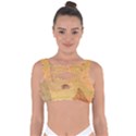 Leaves Patterns Colorful Leaf Pattern Bandaged Up Bikini Top View1