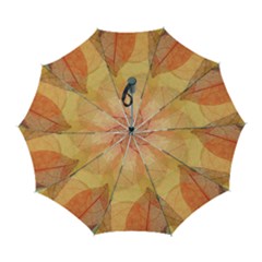 Leaves Patterns Colorful Leaf Pattern Automatic Folding Umbrella With Case (large) by Cemarart
