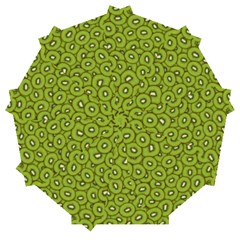 Kiwi Fruit Pattern Green Background Automatic Folding Umbrella With Case (medium) by Paksenen