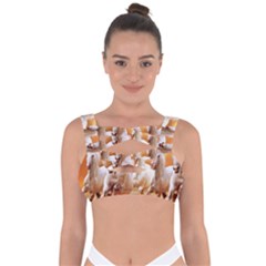 Seven Horses, Sun Bandaged Up Bikini Top by kyorashop23