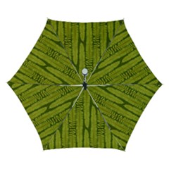 Fern Texture Nature Leaves Automatic Folding Umbrella With Case (small) by Posterlux