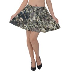 Pear Tree In Full Bloom Velvet Skater Skirt by ExtraAwesomeSauce