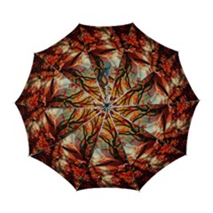 Forest Path Red Nature Automatic Folding Umbrella With Case (large) by Bedest