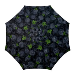 Blackberry Fruit, Fruit Golf Umbrellas by kyorashop23