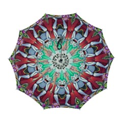 Huiok Automatic Folding Umbrella With Case (large) by SkinsForTeens
