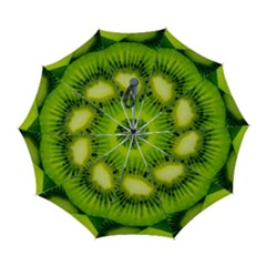 Kiwi Fruits, Close-up, Exotic Fruit Automatic Folding Umbrella With Case (large) by kyorashop23