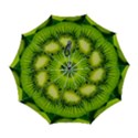 Kiwi Fruits, Close-up, Exotic Fruit Automatic Folding Umbrella with Case (Large) View1