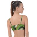 Kiwi Texture, Background With Kiwi, Fruits, Kiwi Knot Up Bikini Top View2