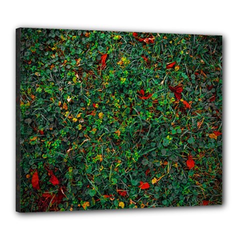 Grass Nature Meadow Canvas 24  X 20  (stretched) by Hannah976