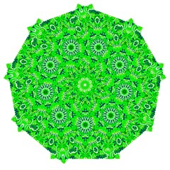 Mandala Flowers   Automatic Folding Umbrella With Case (medium) by ConteMonfrey