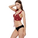 Illustrations Red Abstract Pattern Seamless Texture Low Cut Ruffle Edge Bikini Top View2