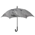 Wall With Cracked White Paint Texture Hook Handle Umbrellas (Small) View3