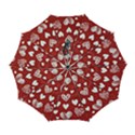 Valentine Automatic Folding Umbrella with Case (Large) View1
