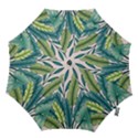 Illustrations Plants Nature Leaves Hook Handle Umbrellas (Small) View1