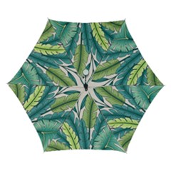 Illustrations Plants Nature Leaves Automatic Folding Umbrella With Case (small) by Salmanaz77