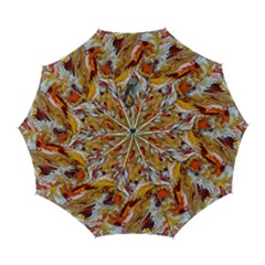 Phoenix Automatic Folding Umbrella With Case (large) by kaleidomarblingart