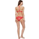 Crimson Current Banded Triangle Bikini Set View4