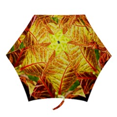 Leaves Plant Pattern Croton Nature Mini Folding Umbrellas by Sabxi