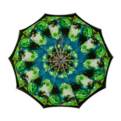 Avocado Automatic Folding Umbrella With Case (large) by bestdesignintheworld