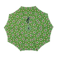 Retro 1880s Flowers Pattern 4 Automatic Folding Umbrella With Case (large) by violetheavensky
