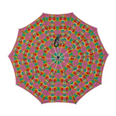 Retro 40s 50s Mexico Flowers Pattern Automatic Folding Umbrella With Case (large) by violetheavensky
