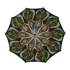 Lungs Health Automatic Folding Umbrella With Case (large) by Sabxi