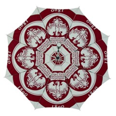 University Of Chicago Automatic Folding Umbrella With Case (medium) by avitendut