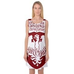 University Of Chicago Sleeveless Satin Nightdress by avitendut