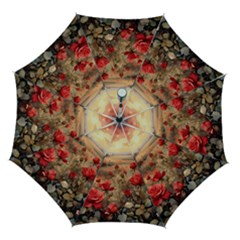 Roses Flower Field Sunset Nature Automatic Folding Umbrella With Case (medium) by Anend