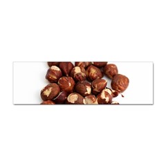 Hazelnuts Bumper Sticker 10 Pack by hlehnerer