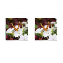 Butterfly 159 Cufflinks (square) by pictureperfectphotography