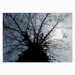 An Old Tree Glasses Cloth (large) by natureinmalaysia