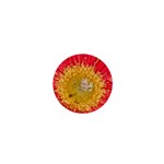 A Red Flower 1  Mini Button Magnet Front