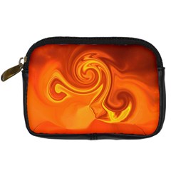 L247 Digital Camera Leather Case by gunnsphotoartplus