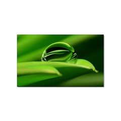 Waterdrop Sticker (rectangle) by Siebenhuehner