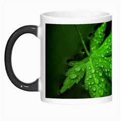 Leaf With Drops Morph Mug by Siebenhuehner