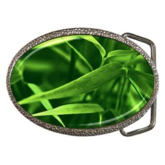 Bamboo Belt Buckle (oval) by Siebenhuehner
