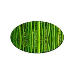 Bamboo Sticker 10 Pack (oval) by Siebenhuehner