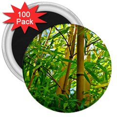 Bamboo 3  Button Magnet (100 Pack) by Siebenhuehner
